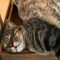 画像1017