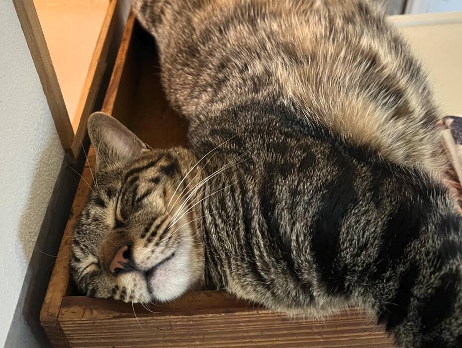 画像1017