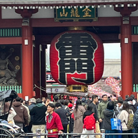 画像1087