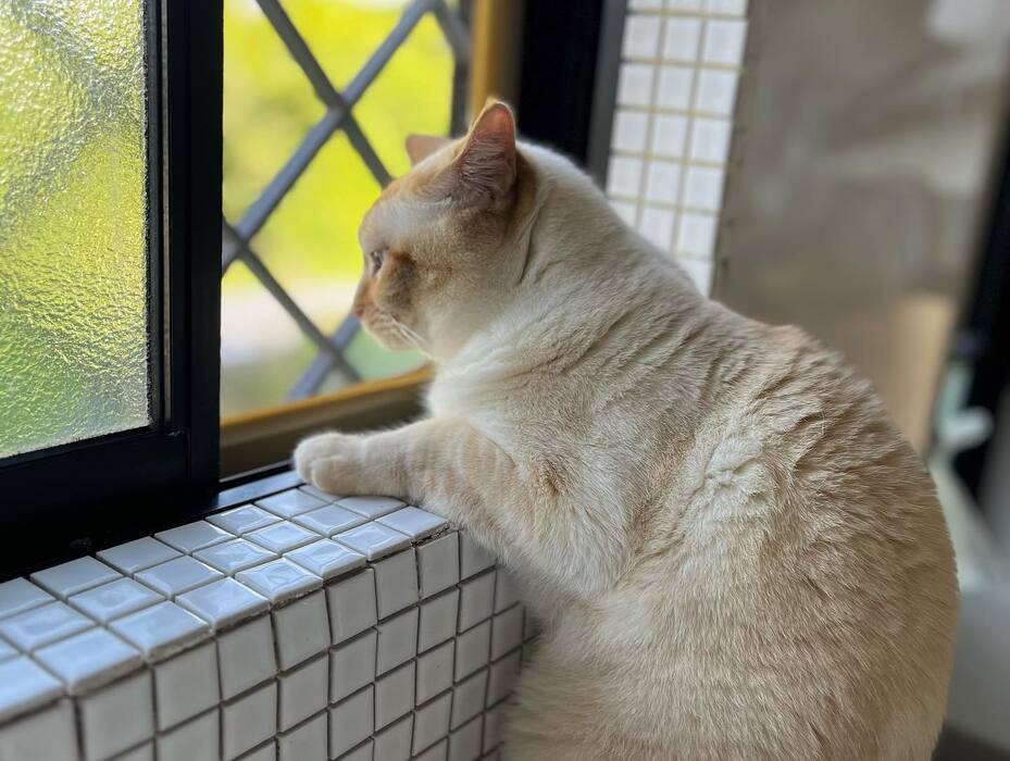 画像269