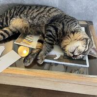 画像281