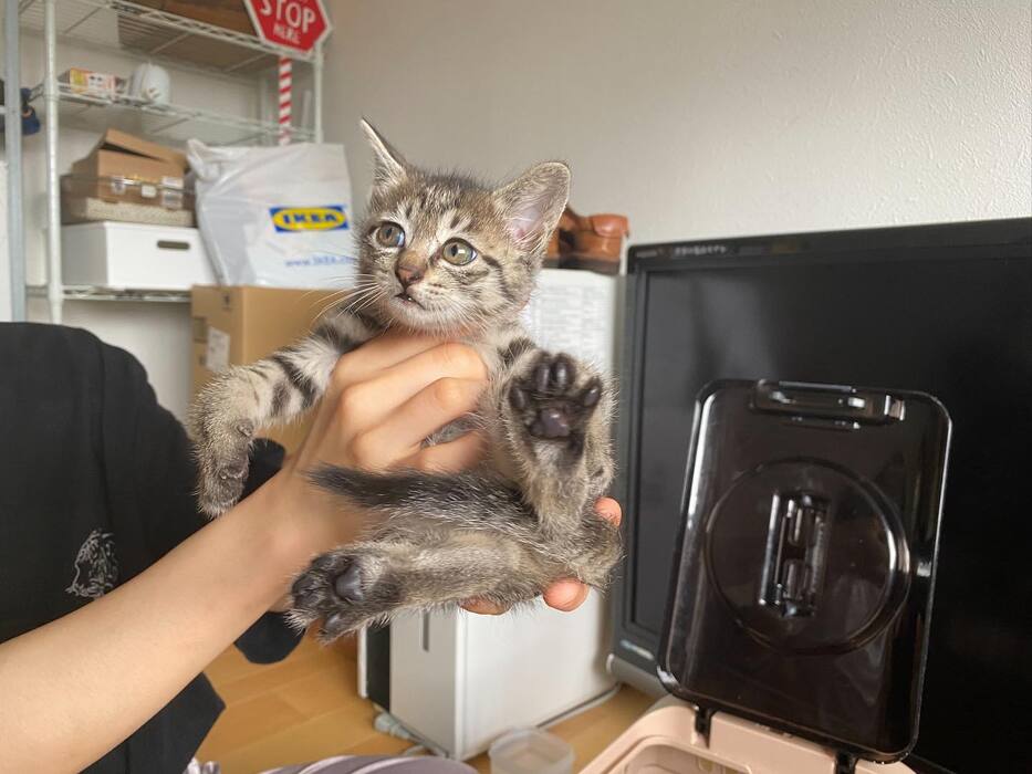 画像358