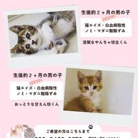 画像366
