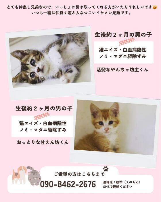 画像366