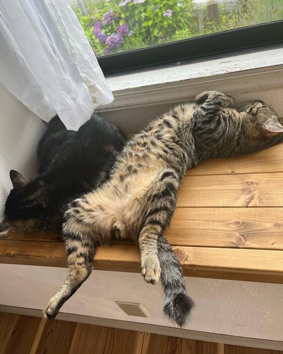 画像388