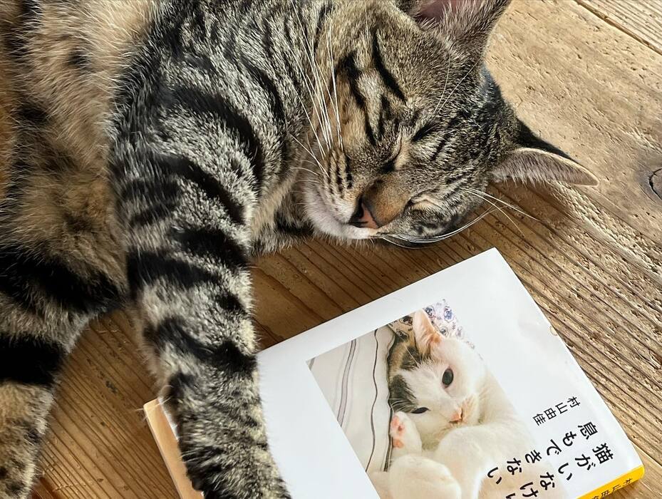 画像422