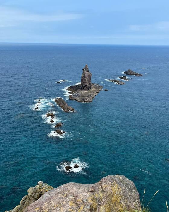画像445