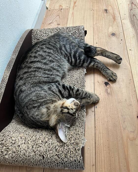 画像457