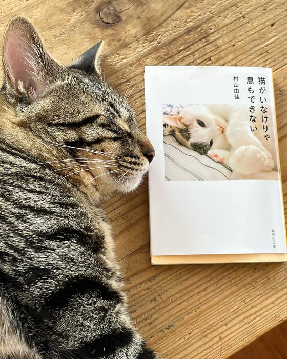 画像475