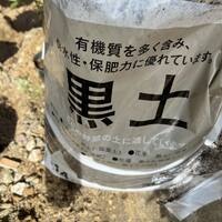 画像515