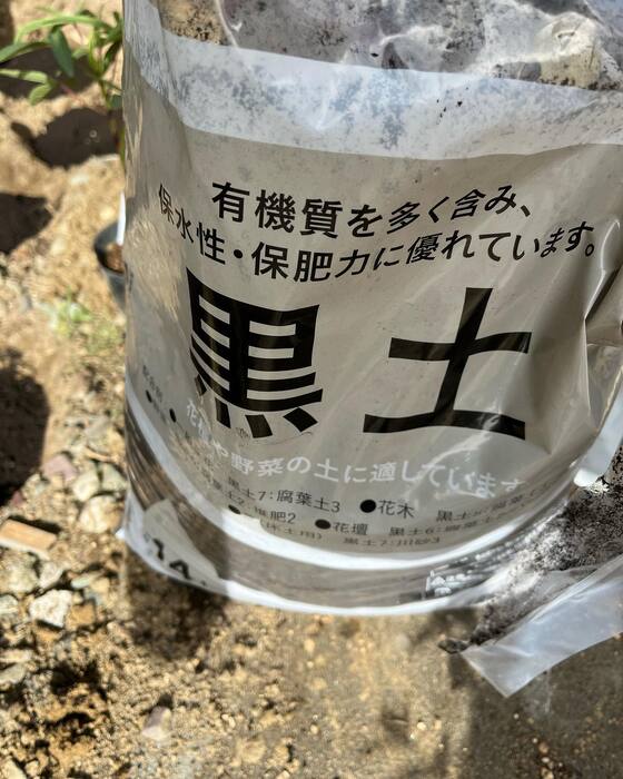 画像515