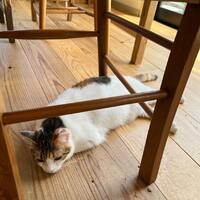 画像531