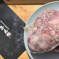 画像536