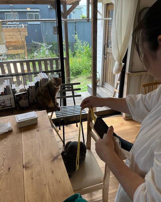 画像543