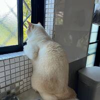 画像561