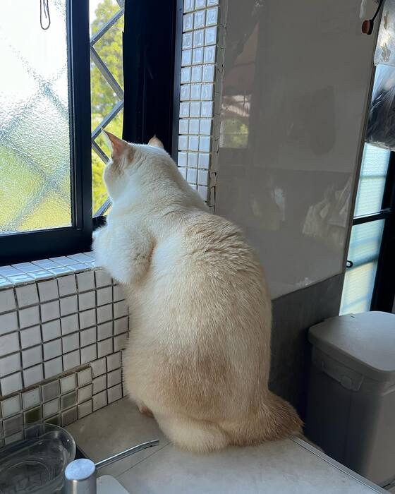 画像561
