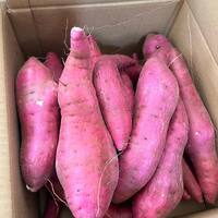 画像660