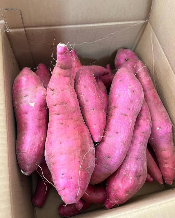画像660