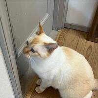 画像685