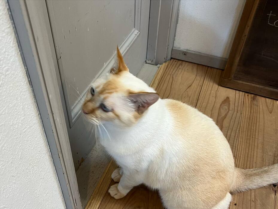画像685