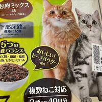 画像700