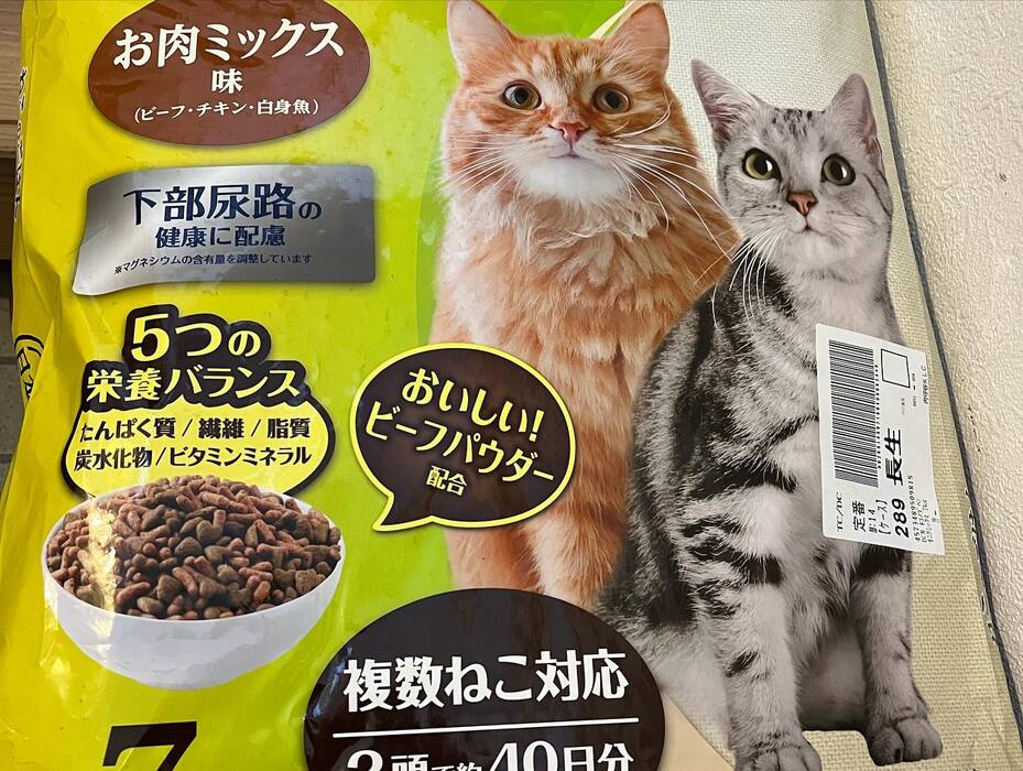 画像700