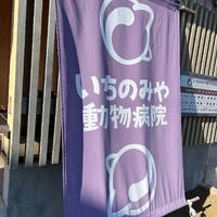 画像814