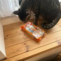 画像844